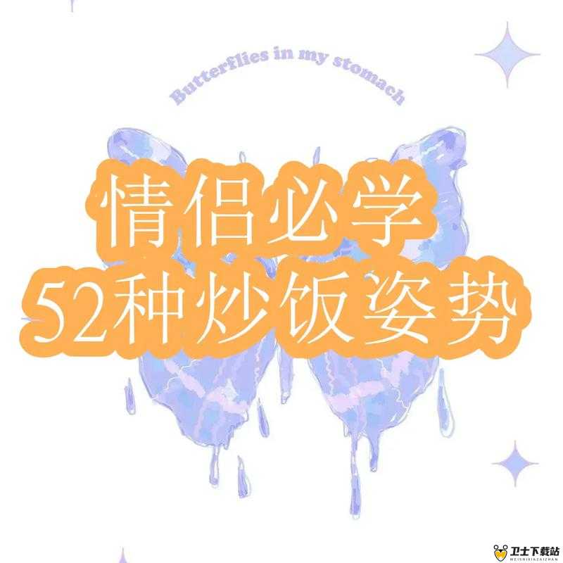 情侣炒菜 52 式 pdf：关于情侣炒菜技巧与创意的详细指南