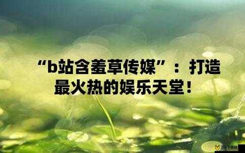 含羞草文化传媒有限公司招聘：打造娱乐行业新势力